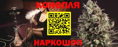 сатива Можга