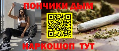 сатива Можга