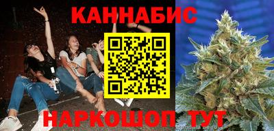 сатива Можга