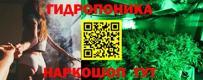 сатива Можга