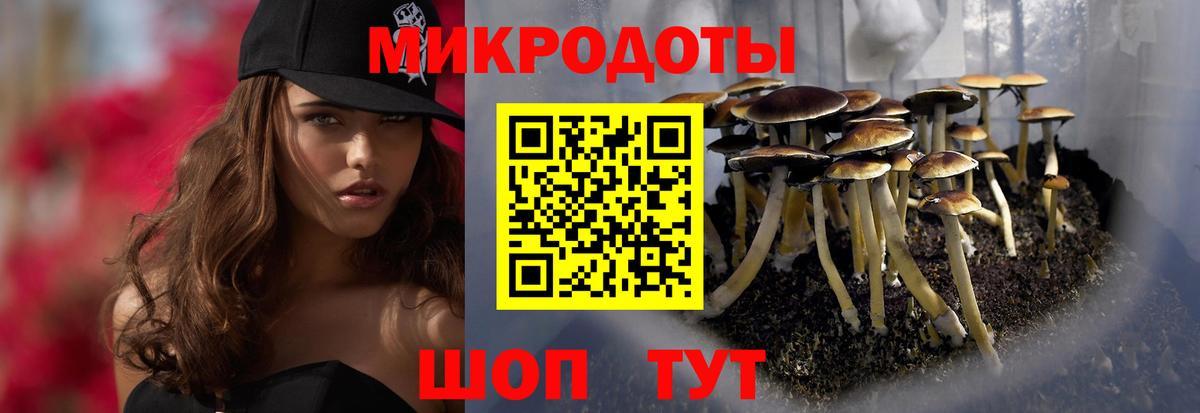 Галлюциногенные грибы Cubensis  Вход с VPN  Верхняя Пышма 